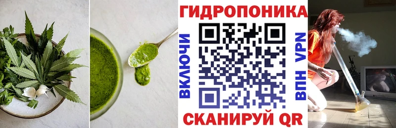 где продают наркотики  Новокузнецк  Еда ТГК конопля 