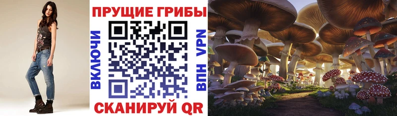 OMG маркетплейс  Новокузнецк  Псилоцибиновые грибы прущие грибы 